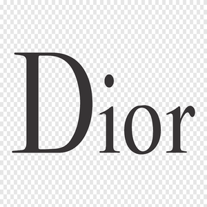 diorRetro Shoes 