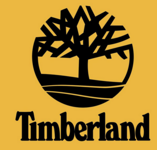timberlandRetro Shoes 